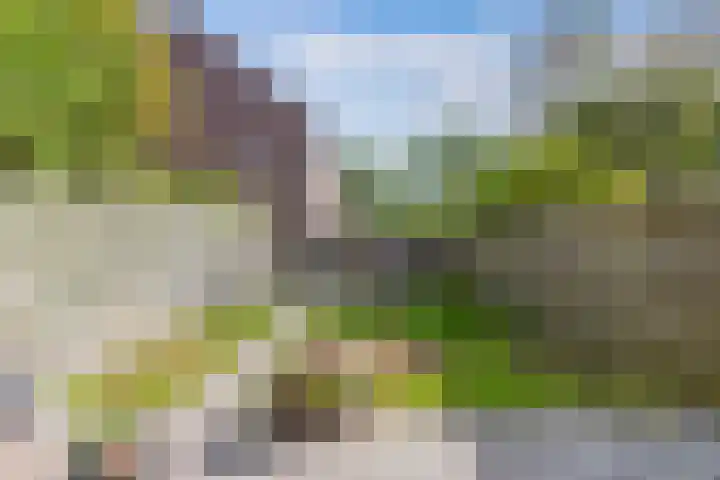Zetveld 143 Heerenveen thumbnail 29