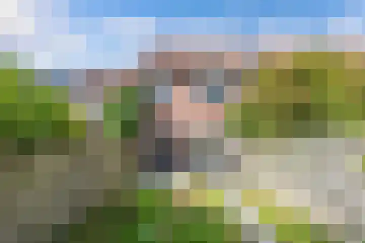 Zetveld 143 Heerenveen thumbnail 31