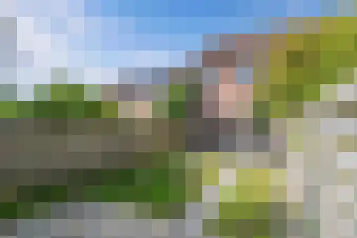 Zetveld 143 Heerenveen thumbnail 32