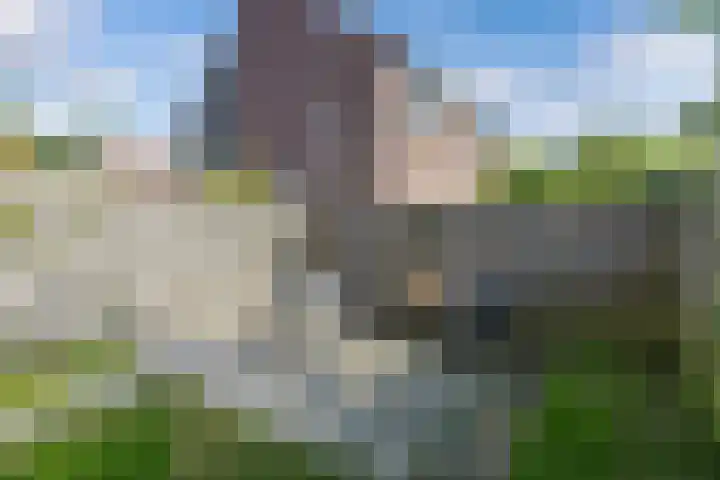 Zetveld 143 Heerenveen thumbnail 33
