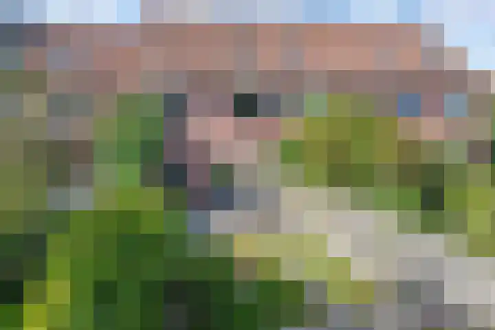 Zetveld 143 Heerenveen thumbnail 34