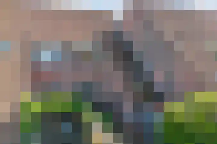 Zetveld 143 Heerenveen thumbnail 39
