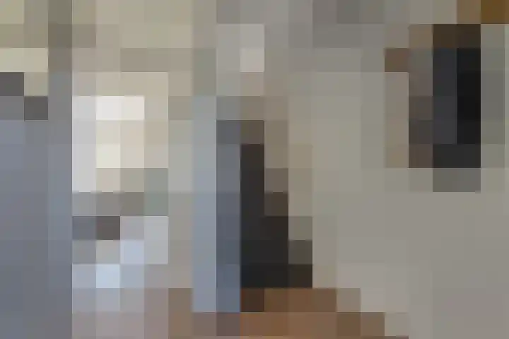 Zetveld 143 Heerenveen thumbnail 6