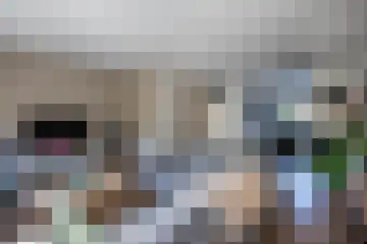 Zetveld 143 Heerenveen thumbnail 9