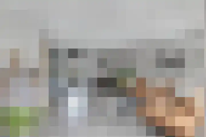 Zetveld 159 Heerenveen thumbnail 11
