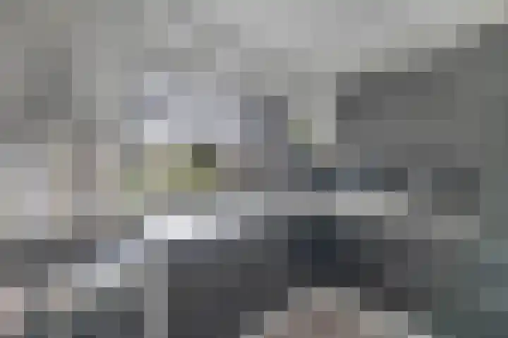Zetveld 159 Heerenveen thumbnail 14