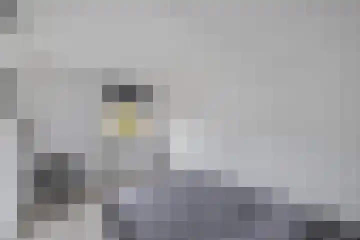 Zetveld 159 Heerenveen thumbnail 20