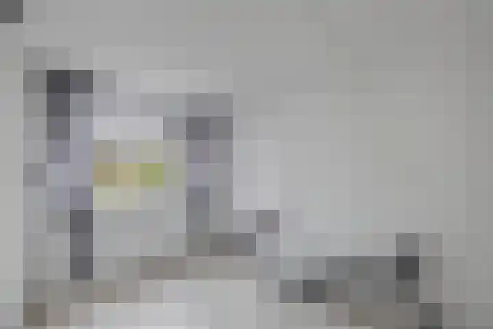 Zetveld 159 Heerenveen thumbnail 23