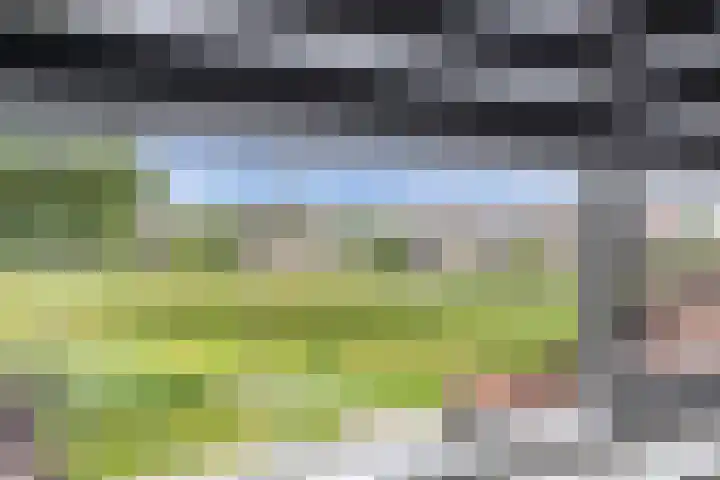 Zetveld 159 Heerenveen thumbnail 24