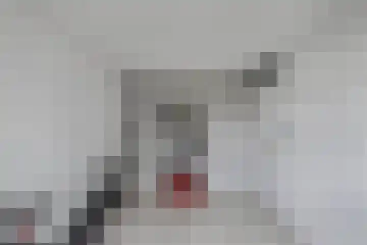 Zetveld 159 Heerenveen thumbnail 25