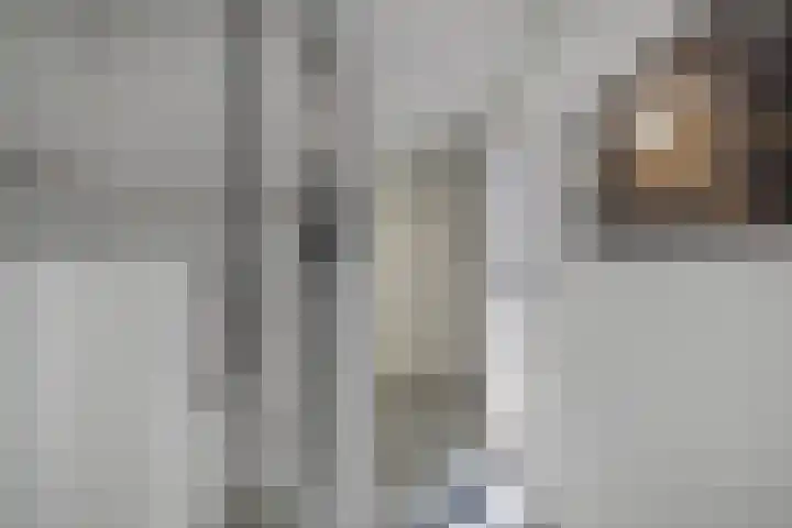 Zetveld 159 Heerenveen thumbnail 28