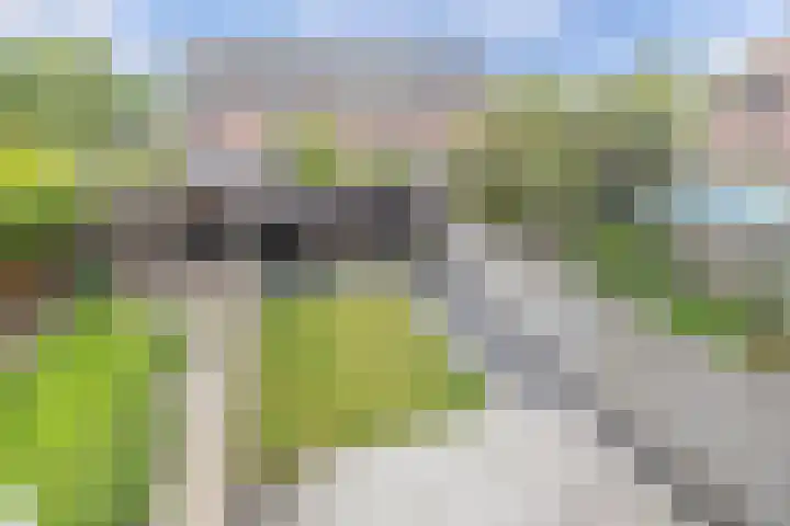 Zetveld 159 Heerenveen thumbnail 32