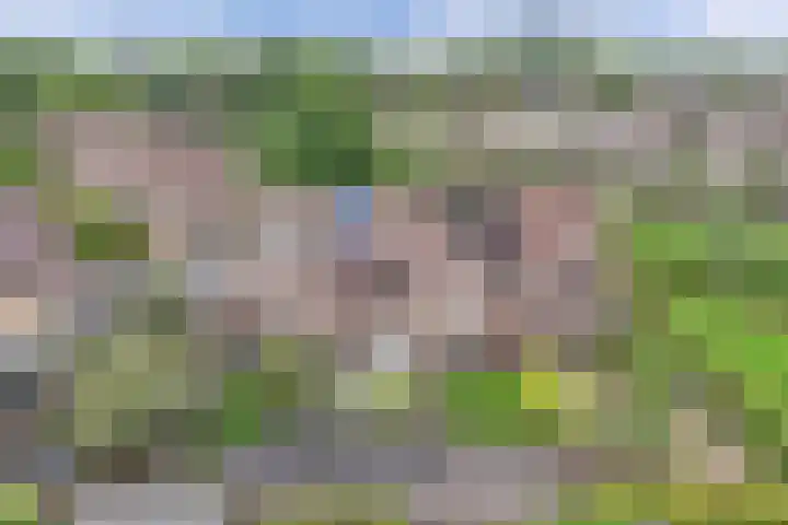 Zetveld 159 Heerenveen thumbnail 40