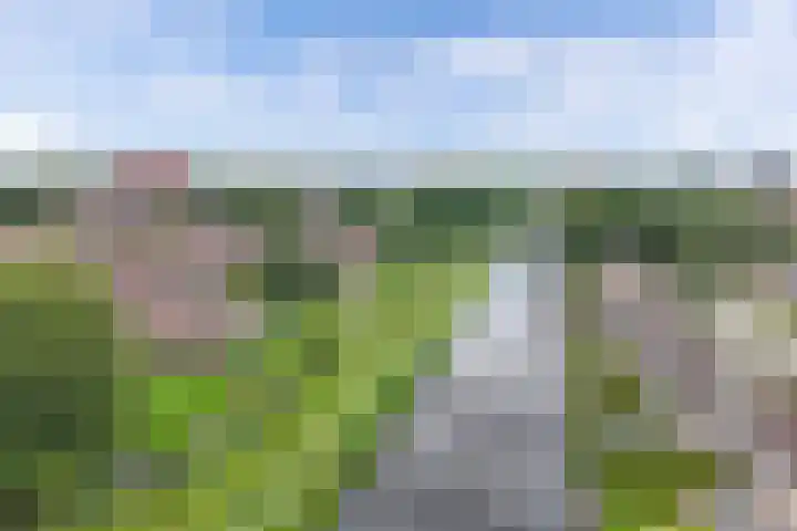 Zetveld 159 Heerenveen thumbnail 41