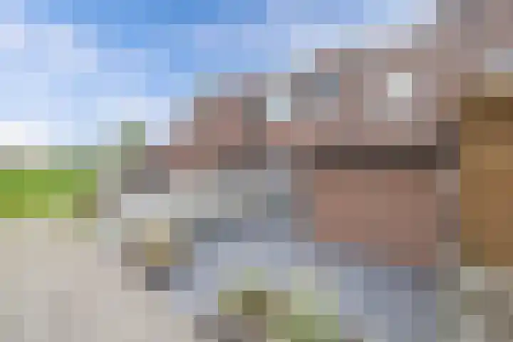 Zetveld 159 Heerenveen thumbnail 43