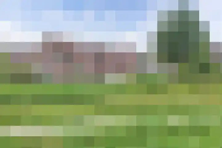 Zetveld 159 Heerenveen thumbnail 45