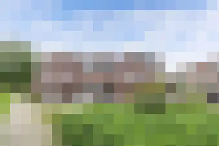 Zetveld 159 Heerenveen thumbnail 46
