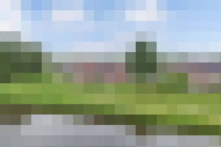 Zetveld 159 Heerenveen thumbnail 47