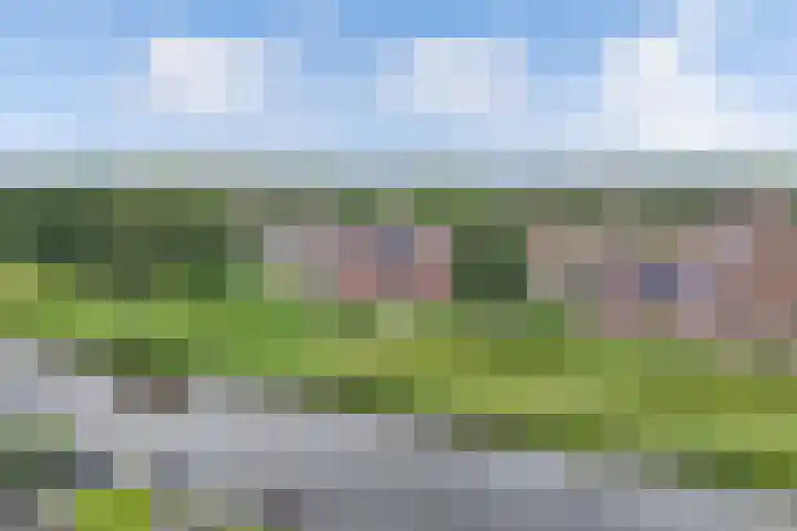 Zetveld 159 Heerenveen thumbnail 48