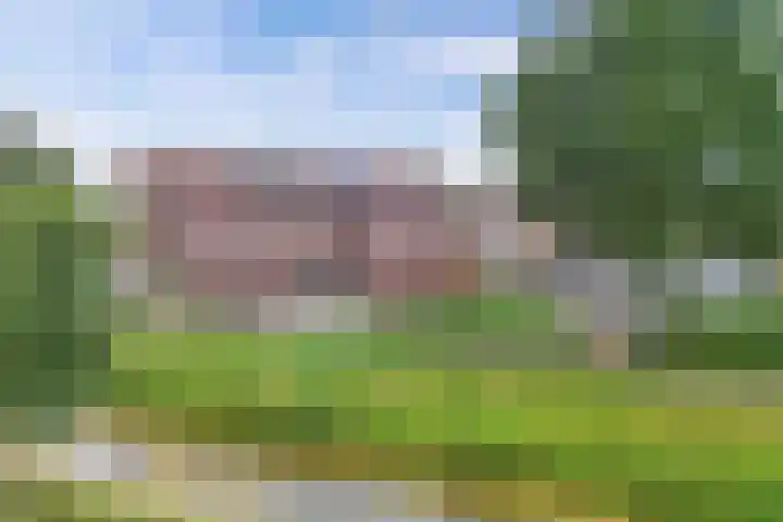 Zetveld 159 Heerenveen thumbnail 5