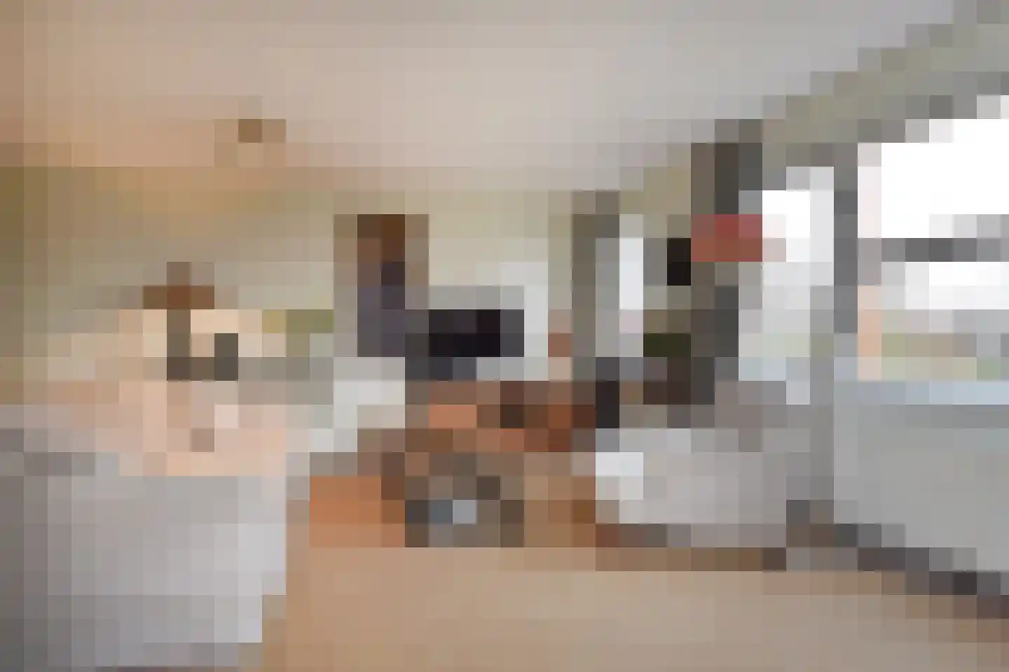 Zetveld 16 Nootdorp thumbnail 11