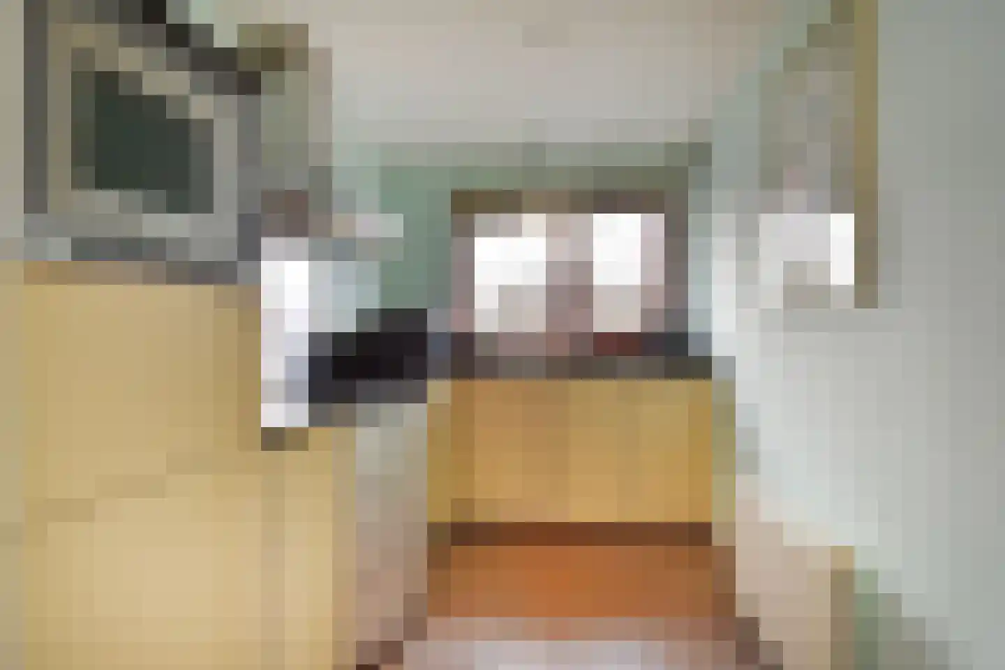 Zetveld 16 Nootdorp thumbnail 14