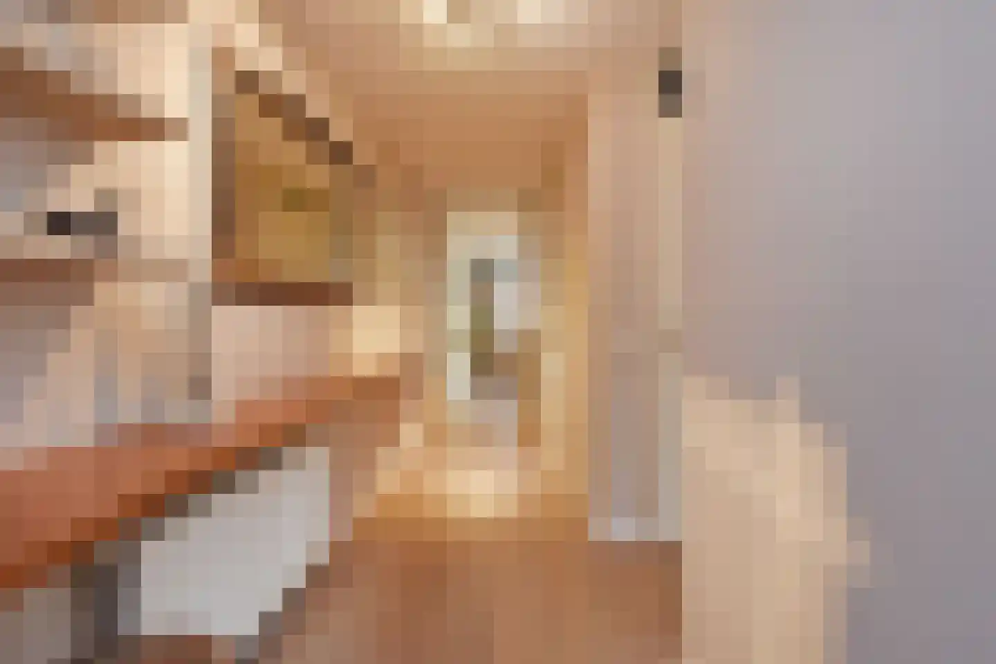 Zetveld 16 Nootdorp thumbnail 17