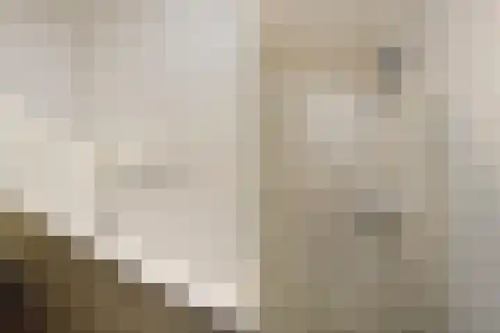 Zetveld 16 Nootdorp thumbnail 21