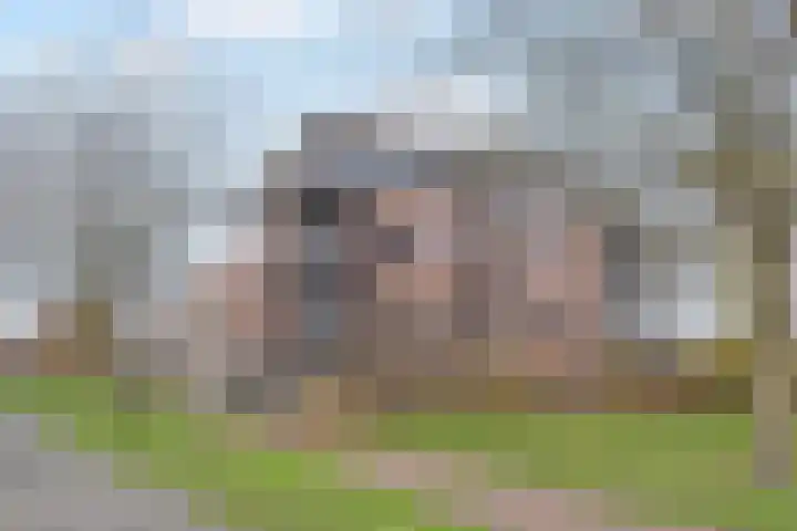 Zetveld 16 Nootdorp thumbnail 34