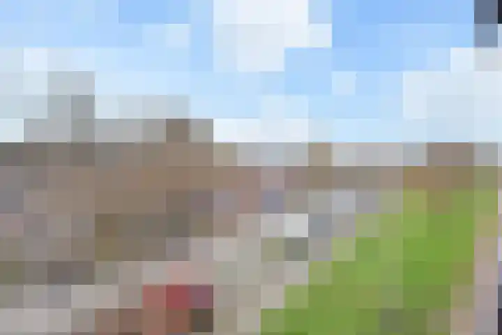 Zetveld 16 Nootdorp thumbnail 7