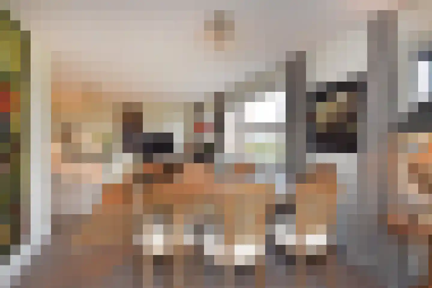 Zetveld 16 Nootdorp thumbnail 9