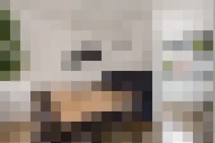 Zetveld 169 Heerenveen thumbnail 16