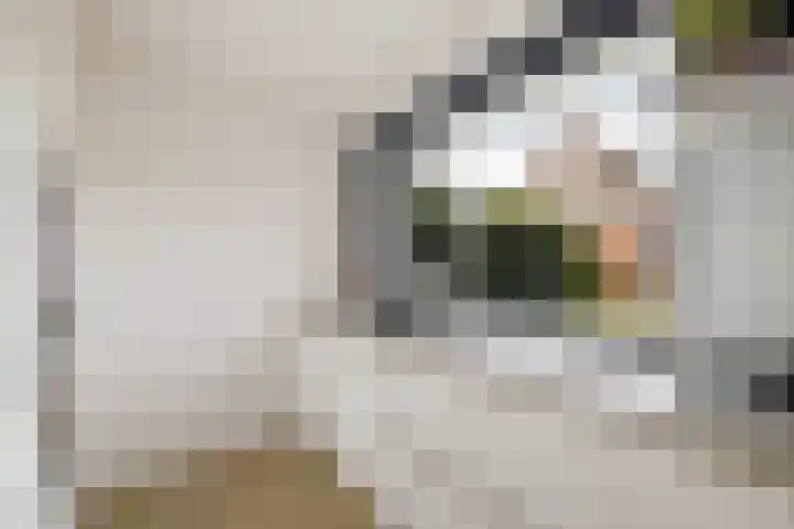 Zetveld 169 Heerenveen thumbnail 17