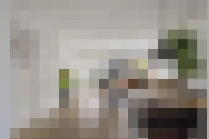 Zetveld 169 Heerenveen thumbnail 18