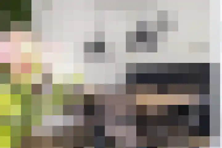 Zetveld 169 Heerenveen thumbnail 20