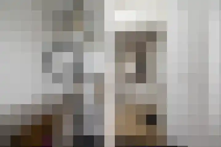 Zetveld 169 Heerenveen thumbnail 24