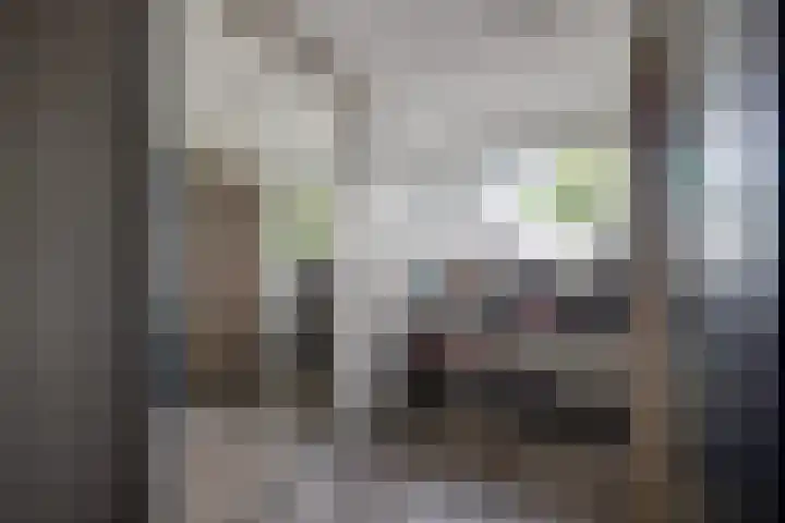 Zetveld 169 Heerenveen thumbnail 28