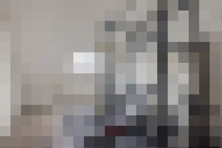 Zetveld 169 Heerenveen thumbnail 38