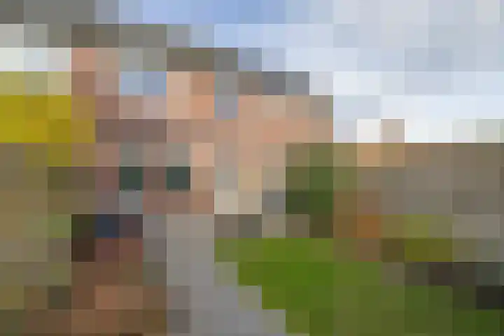 Zetveld 169 Heerenveen thumbnail 40