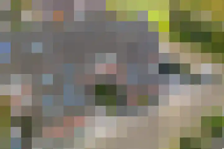Zetveld 169 Heerenveen thumbnail 44