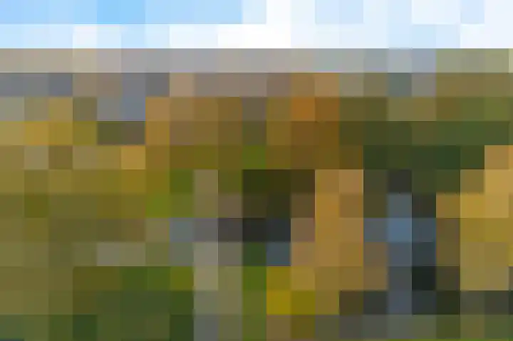 Zetveld 169 Heerenveen thumbnail 47