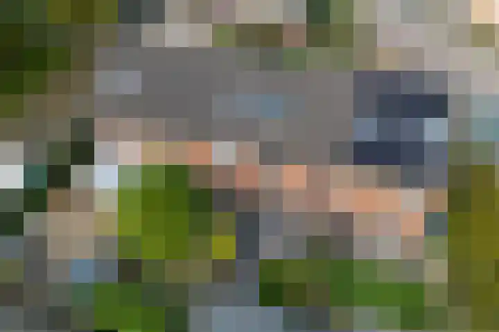 Zetveld 169 Heerenveen thumbnail 48