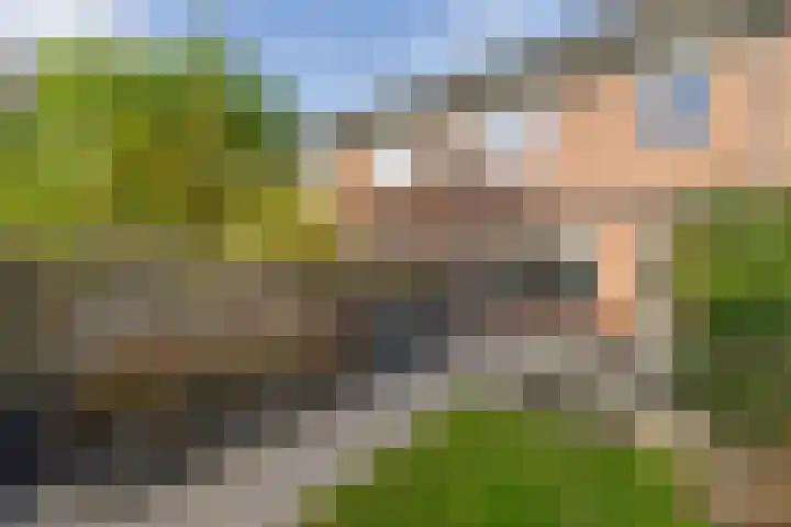 Zetveld 169 Heerenveen thumbnail 5
