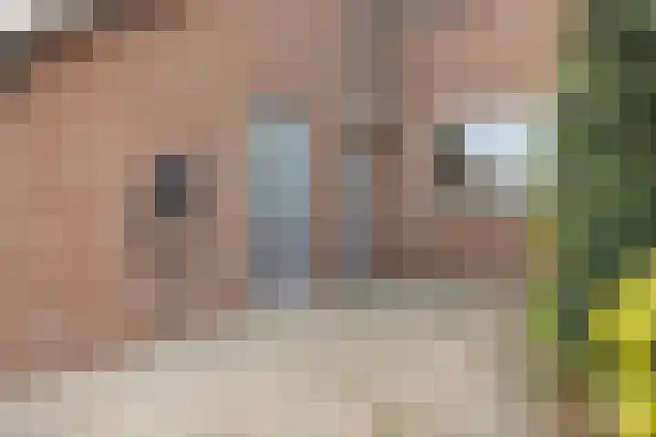 Zetveld 169 Heerenveen thumbnail 6