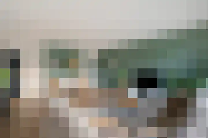 Zetveld 33 Schoonoord thumbnail 12