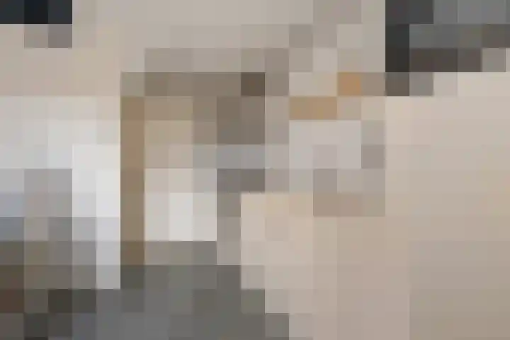 Zetveld 33 Schoonoord thumbnail 16