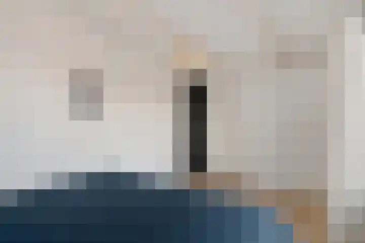 Zetveld 33 Schoonoord thumbnail 21