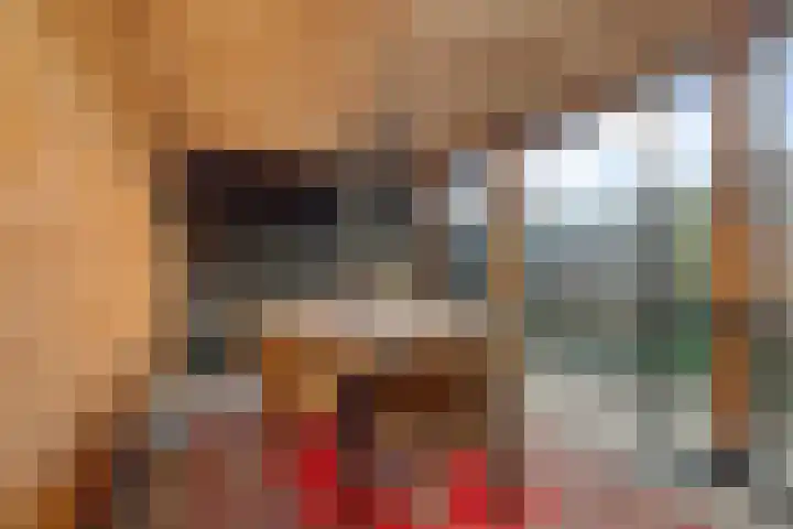 Zetveld 33 Schoonoord thumbnail 28