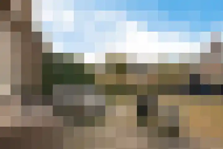 Zetveld 33 Schoonoord thumbnail 31