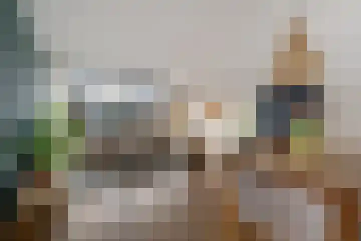 Zetveld 33 Schoonoord thumbnail 5